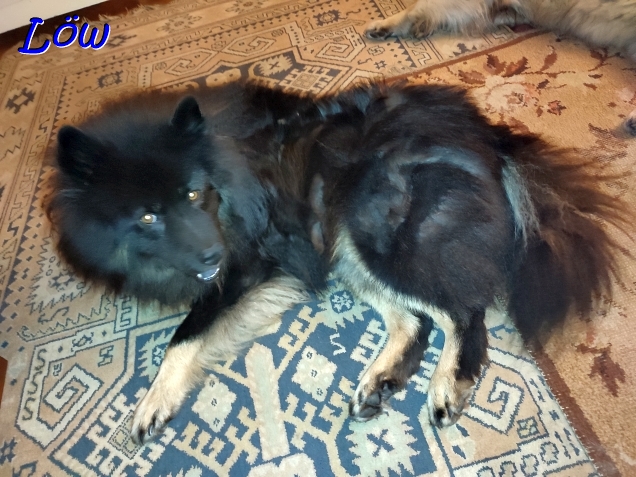 18.8.2024 - Dwix entspannt